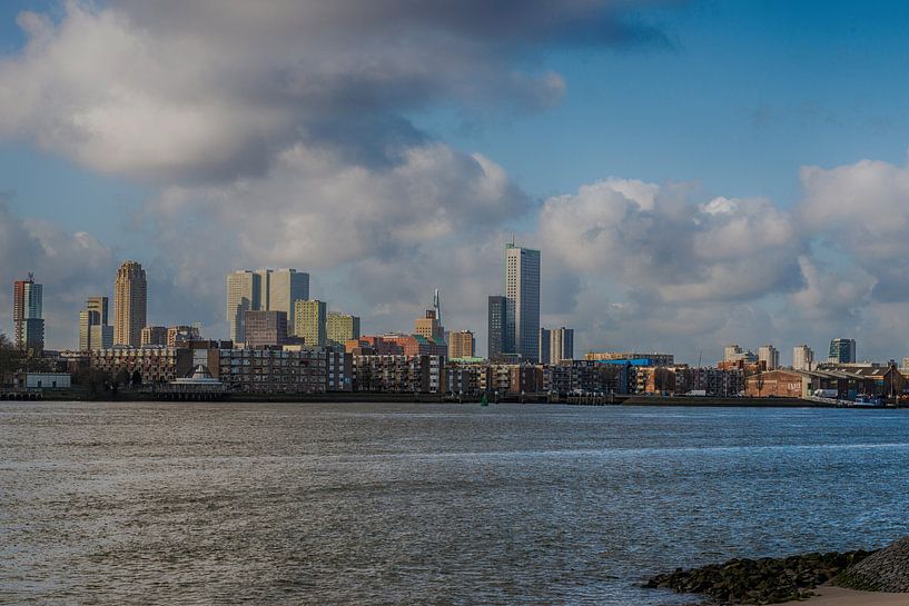 Skyline Rotterdam van Brian Morgan