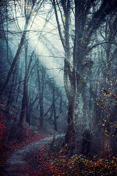 Morning light by Dirk Wüstenhagen
