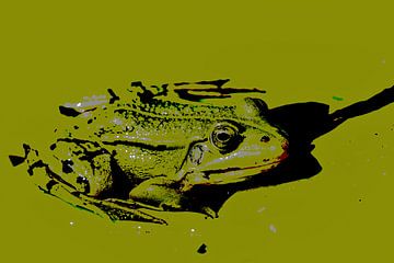 Frog by Marianne Twijnstra