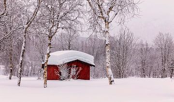 Winter in Noorwegen van Adelheid Smitt