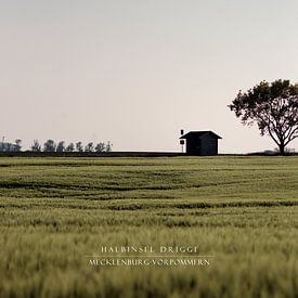 Eiland Rügen (zonder kader) van Felix Lachmann