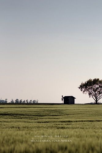 The Island of Rügen (frameless)