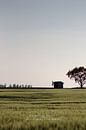 Eiland Rügen (zonder kader) van Felix Lachmann thumbnail