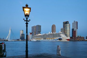 Skyline van Rotterdam, Kop van Zuid en historisch detail Zalmhaven van Ad Jekel