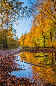 The mirror II