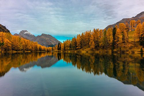 Le lac Palpuogna au matin