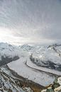 Gorner gletsjer in de Walliser Alpen van Martin Steiner thumbnail