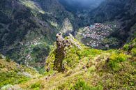 Blick auf das Nonnental auf der Insel Madeira, Portugal von Rico Ködder Miniaturansicht