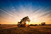 Sunset High Veluwe