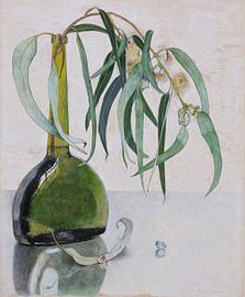 Eucalyptus, Floris Verster