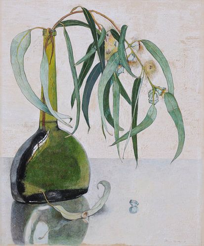 Eukalyptus, Floris Verster