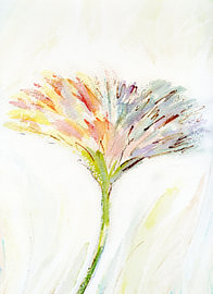Flower Delicate by Claudia Gründler