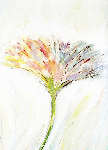 Flower Delicate
