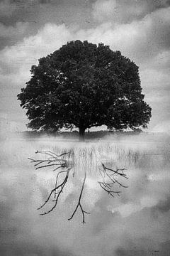 Yggdrasil von Arnold van Rooij