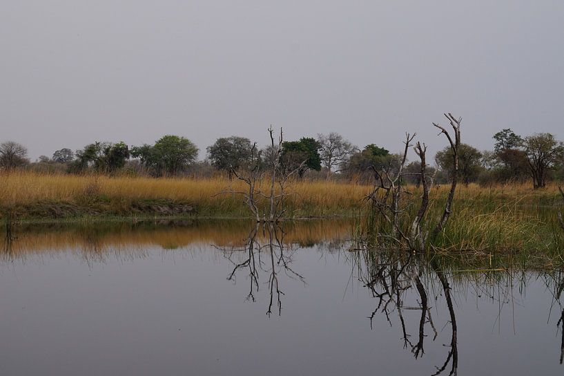 waterrijk Caprivi by Erna Haarsma-Hoogterp