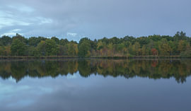 Autumn in Holtingerveld – Drenthe (Netherlands) by Marcel Kerdijk