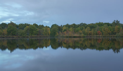 L'automne à Holtingerveld - Drenthe (Pays-Bas)