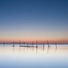 summerlight at sea van Aline van Weert
