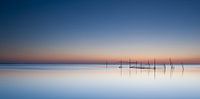 summerlight at sea van Aline van Weert thumbnail