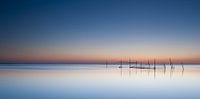 summerlight at sea