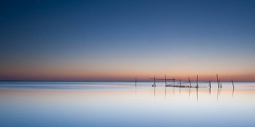 summerlight at sea van Aline van Weert