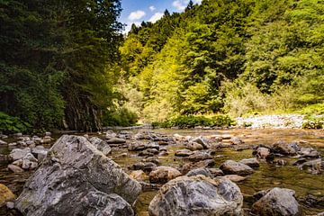 Tolmin's river  van Freddy Hoevers