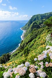 Viewpoint Ponta da Sossego in Sao Miguel, Azores island  by PhotoCluster