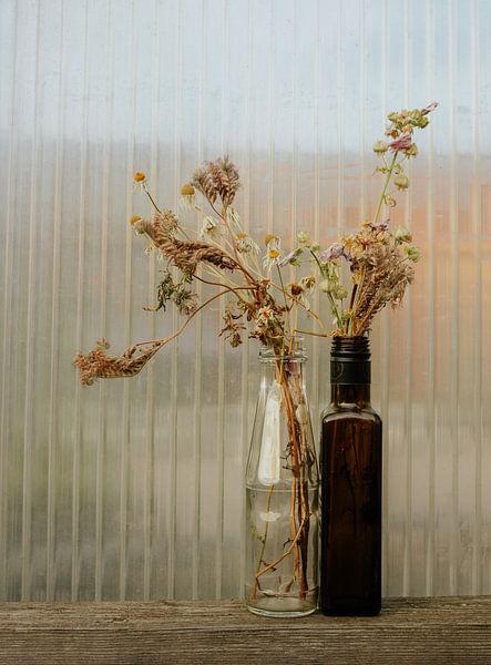 Nature morte aux fleurs séchées par Brave Toaster Photos