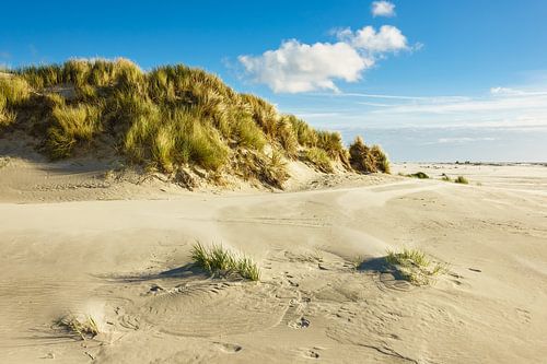 Landschaft in den Dünen auf der Insel Amrum