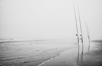 Vissen in zee van rene van loen