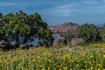 Views of Molyvos, Lesbos (0210) by Reezyard