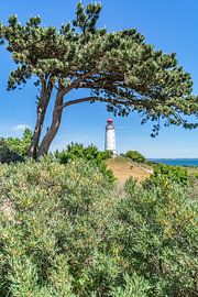 Leuchtturm Am Dornbusch, Insel Hiddensee von GH Foto & Artdesign