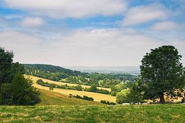 View in Belgium by Sabine Claus