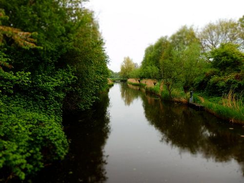 beekje in alkmaar