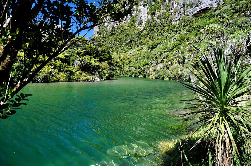 Fluss und Dschungel in Punakaiki, Neuseeland von Frank Photos