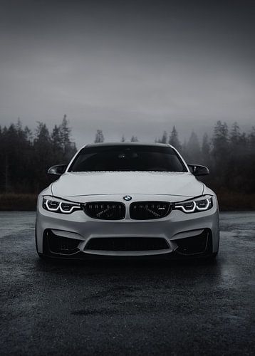 Misty M4 Houding