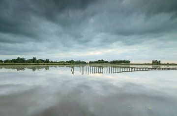 AE's Woudbloem - Groningen (Netherlands) by Marcel Kerdijk