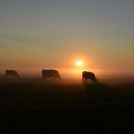 Fairytale sunrise in the countryside. by Shutterbalance