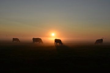 Sprookjesachtige zonsopkomst in de polder. van Shutterbalance