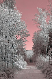 Schneelandschaft von Stefan Dunkel Naturfotografie