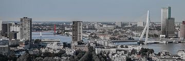 Skyline Rotterdam (r/b) van John Ouwens