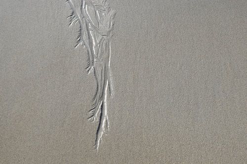 Sporen van stromend water in het zand