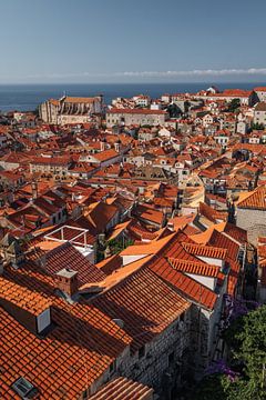 De oude stad van Dubrovnik van Sidney van den Boogaard