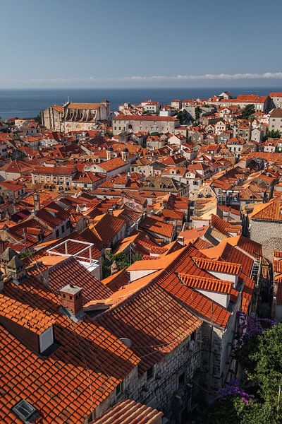 Altstadt von Dubrovnik von Sidney van den Boogaard