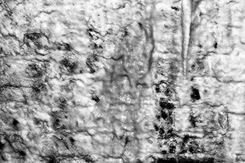 Sidney le comte par Sidney Graf