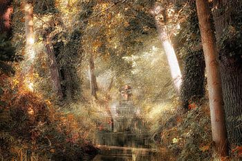 Oude meesters in de natuur