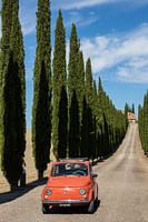 Fiat in Cypress Avenue (11)