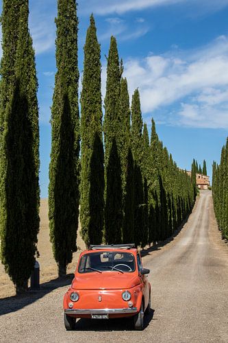 Fiat in cipressenlaan (11) van Jolanda van Eek en Ron de Jong