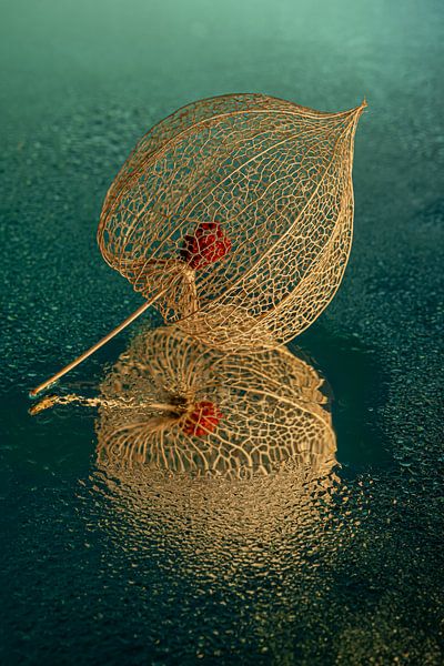Lanterne dorée avec reflet sur le fond turquoise par Marjolijn van den Berg