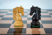 Two horses against each other